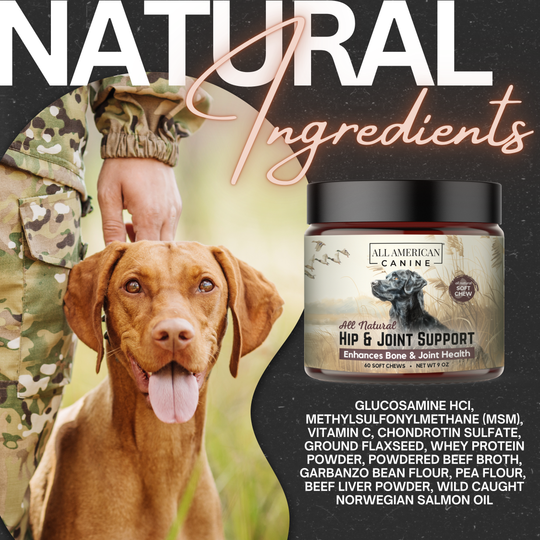 Hip &amp; Joint Support Soft Chews