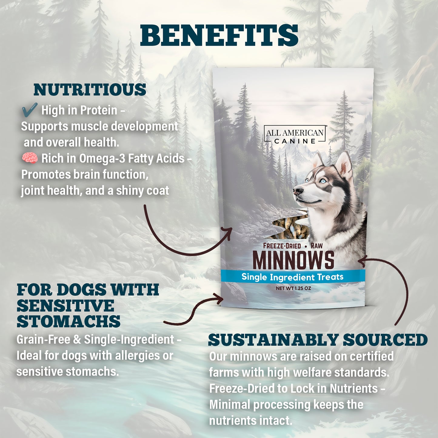Freeze Dried Minnows 1.25 oz.