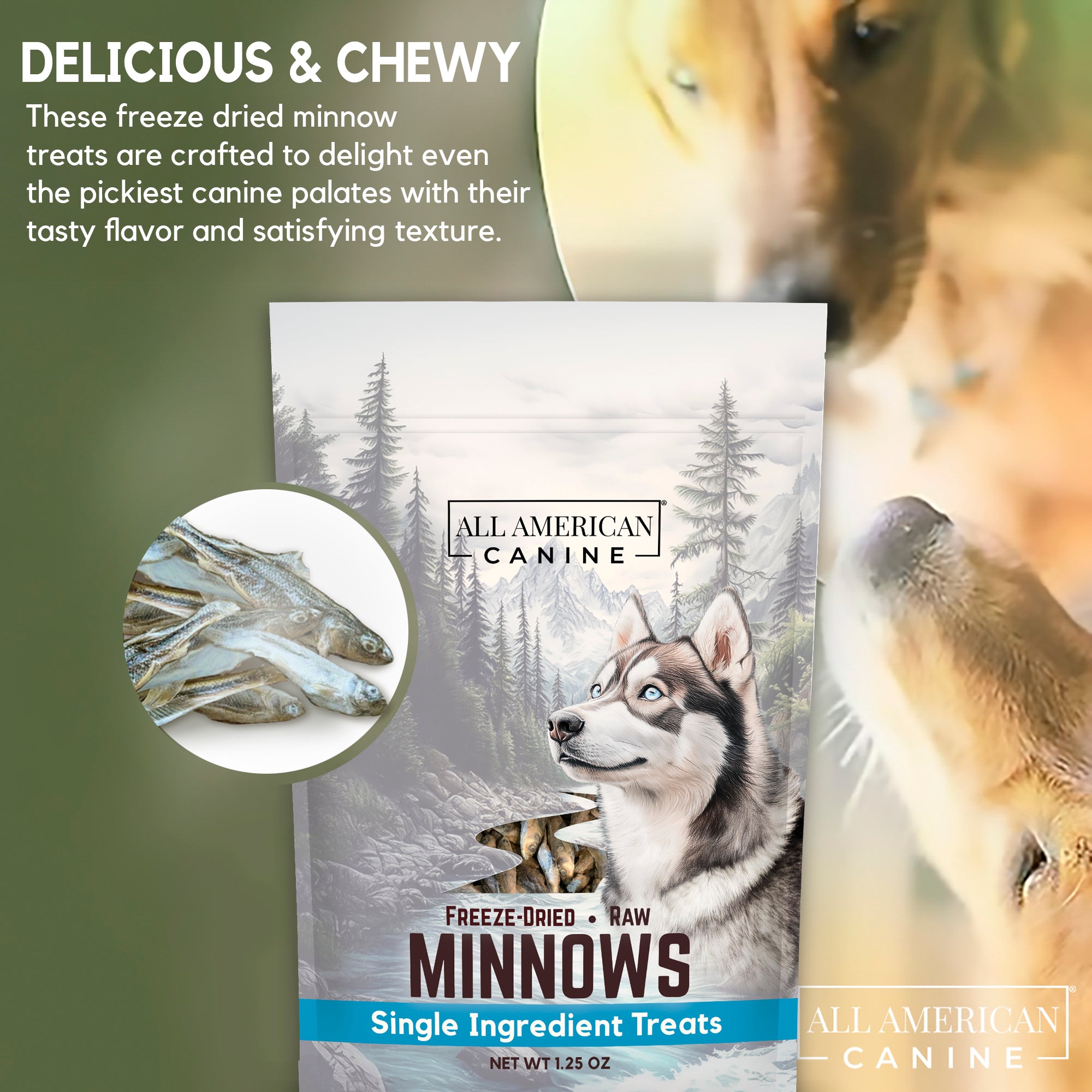 Freeze Dried Minnows - Single Ingredient Dog & Cat Treats