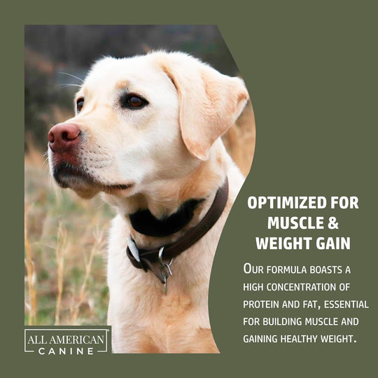 Bulk &amp; Bark Weight Gainer + Digestive Aid Food Topper