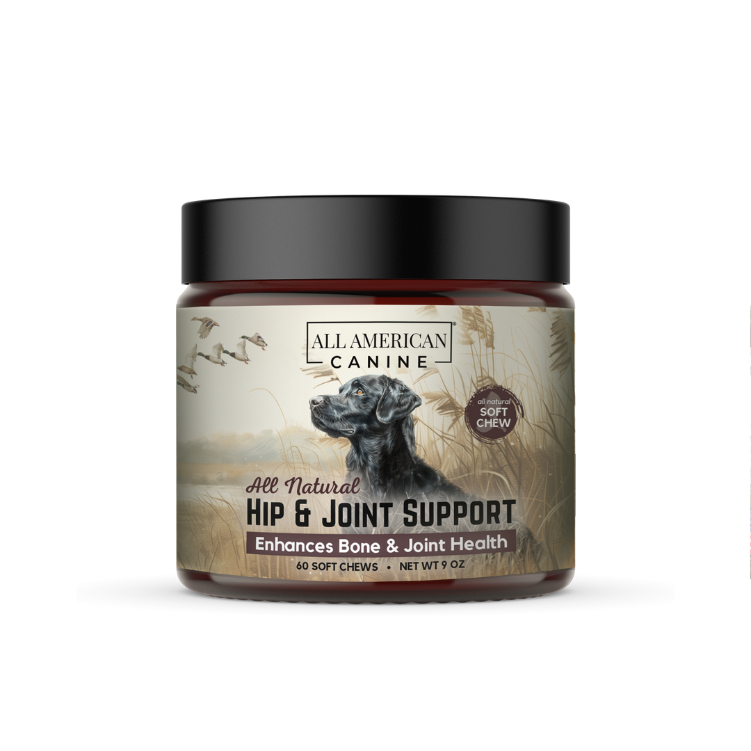 Joint Supplements For Dogs
