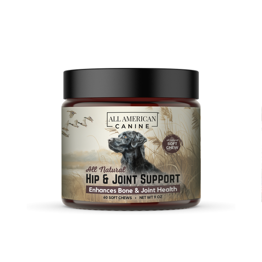 Joint Supplements For Dogs