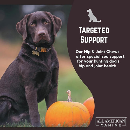 Hip &amp; Joint Support Soft Chews