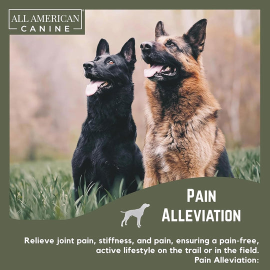 Hip &amp; Joint Support Soft Chews