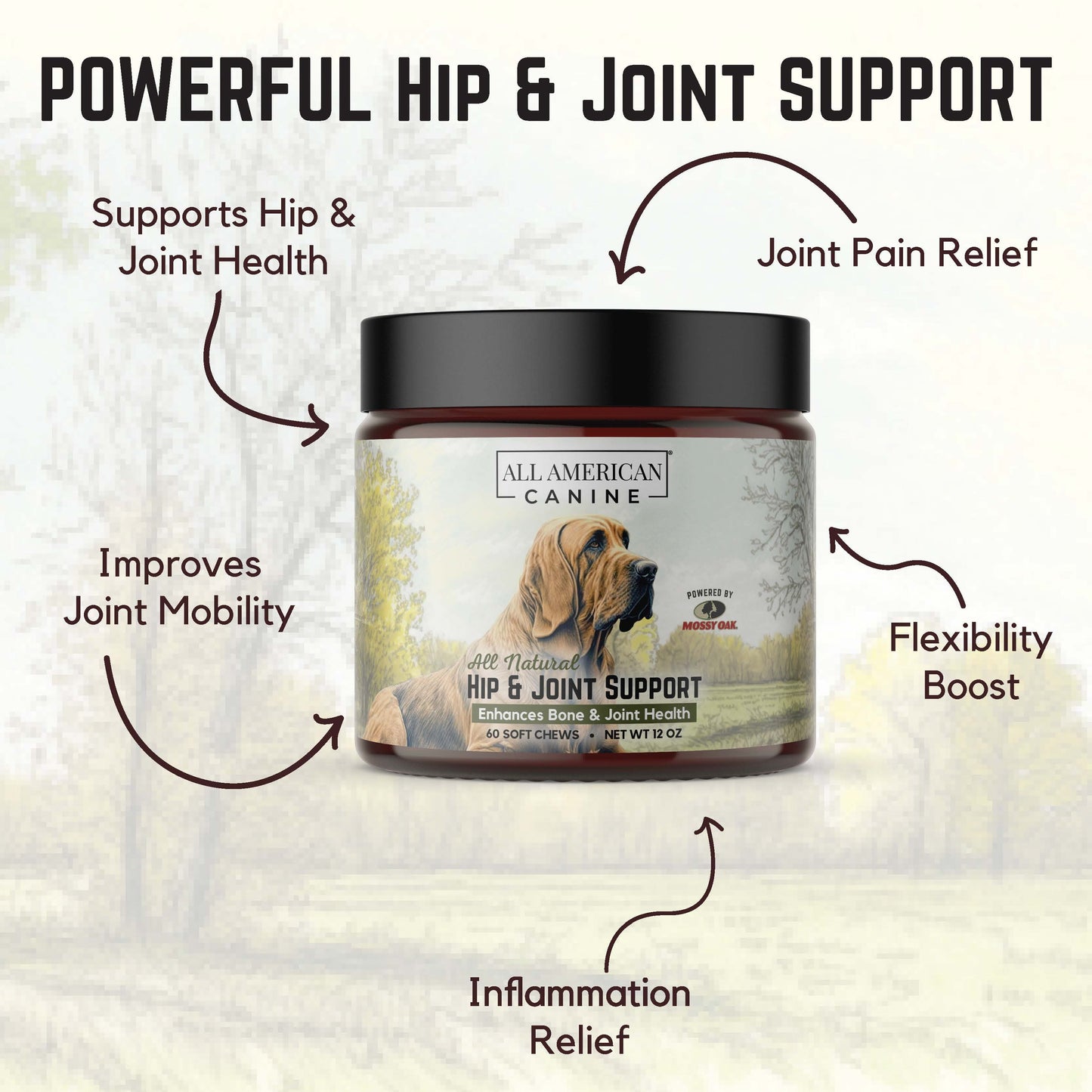 Hip & Joint Support