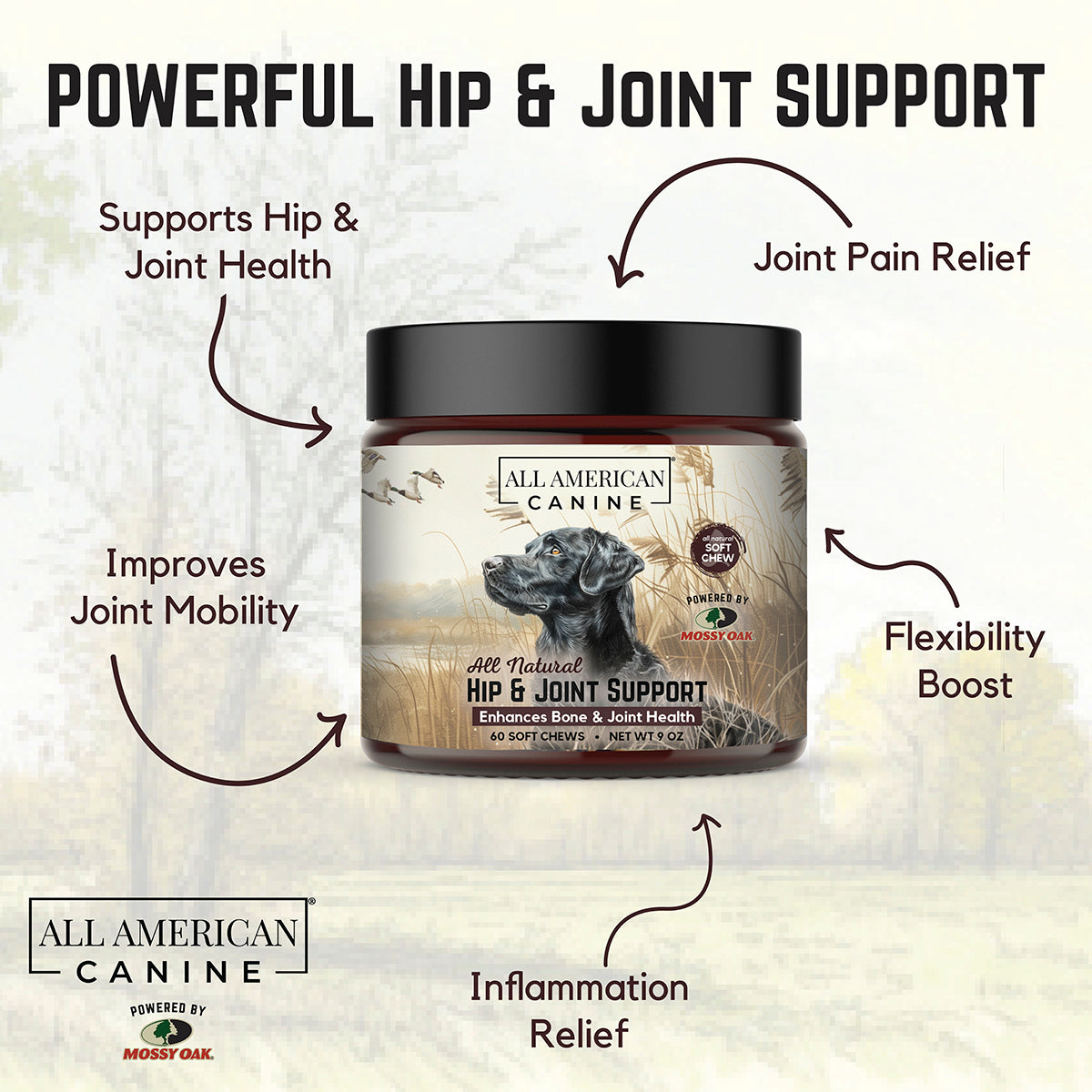 Hip & Joint Support