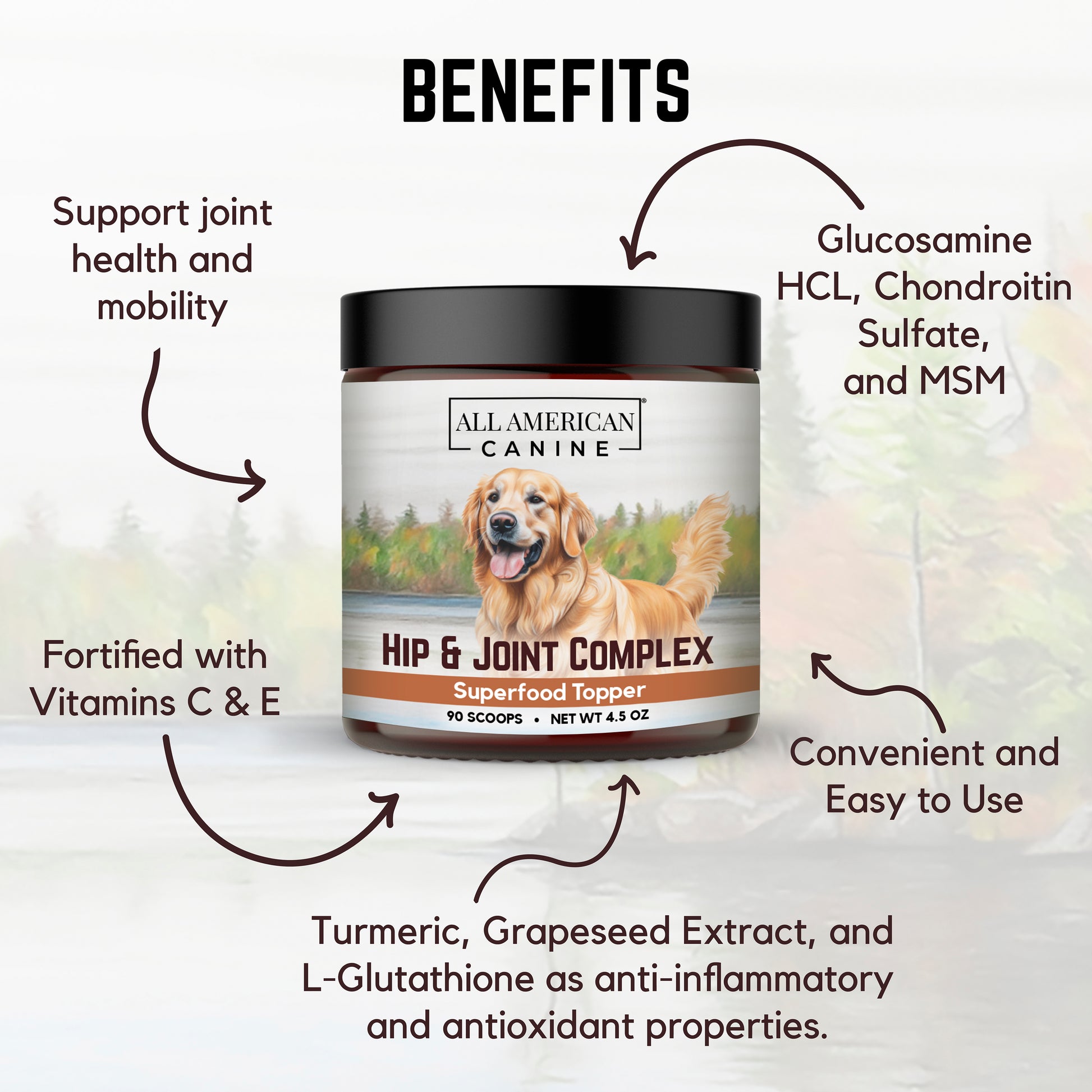 Hip & Joint Support Hip & Joint Support