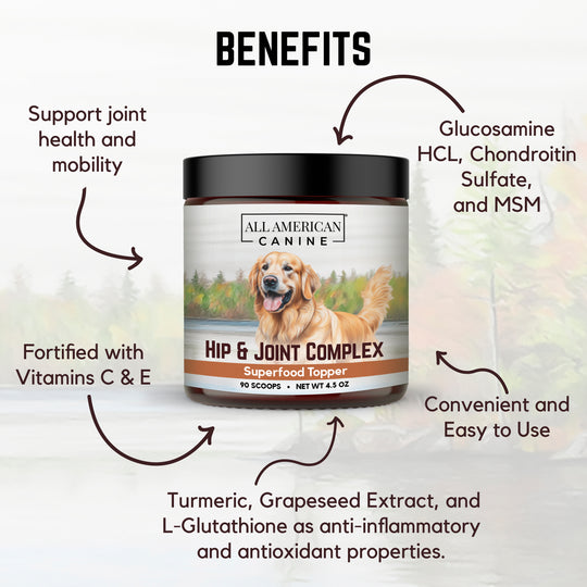 Hip &amp; Joint Support