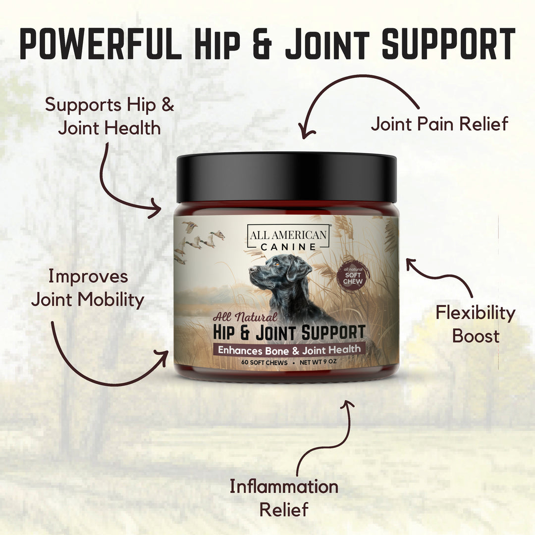 Hip &amp; Joint Support Soft Chews