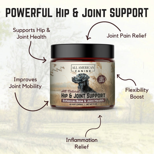 Hip &amp; Joint Support Soft Chews
