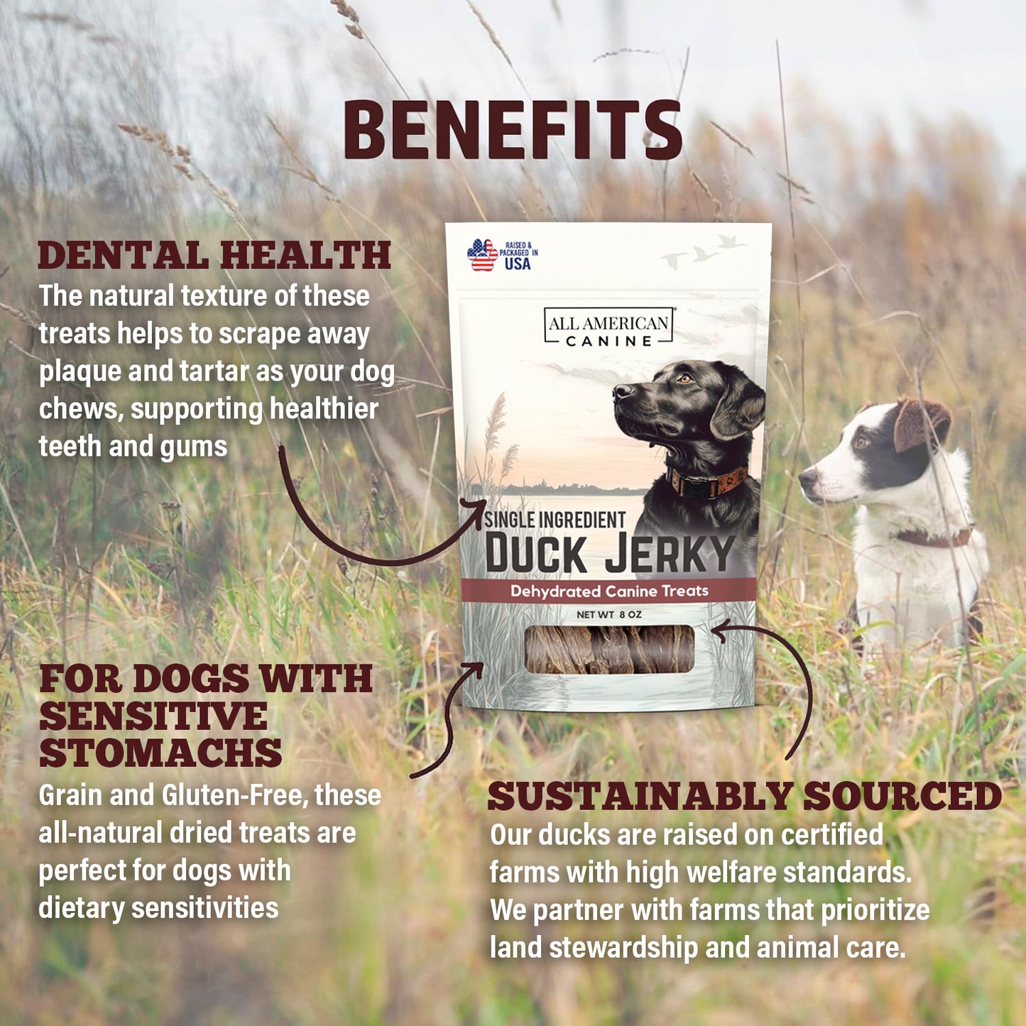 Duck Jerky For Dogs