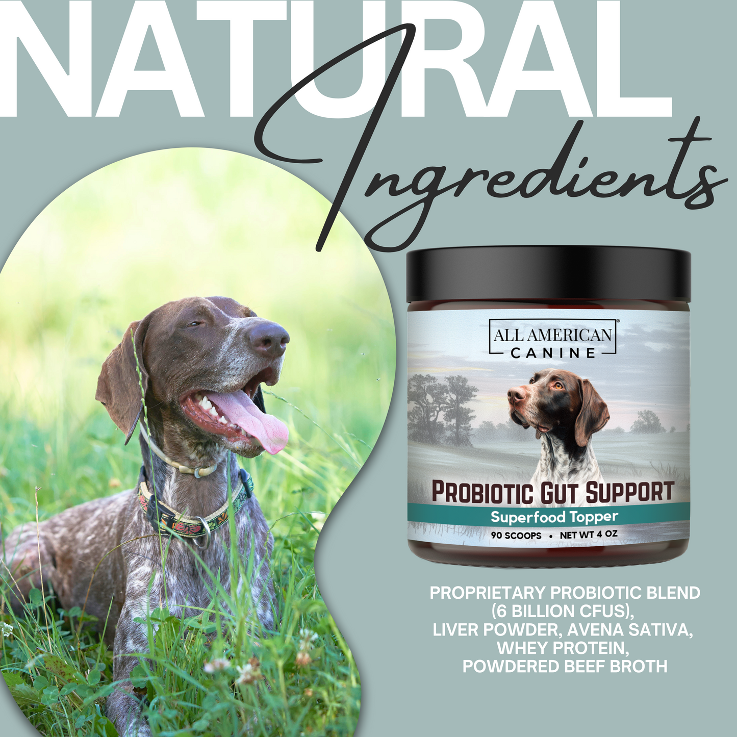Probiotic Gut Support Food Topper