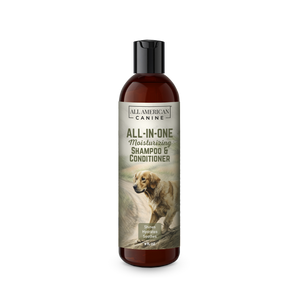 All-In-One Shampoo