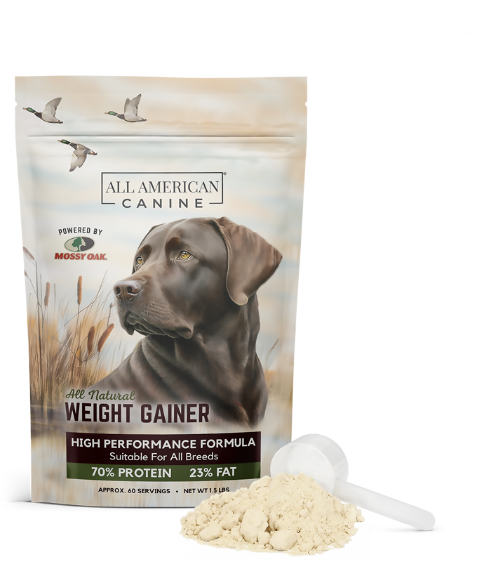 All American Canine
