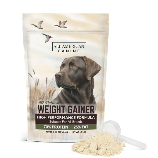 Weight Gainer For Dogs