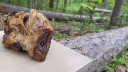 Cow Knee Caps & Ankle Bones
